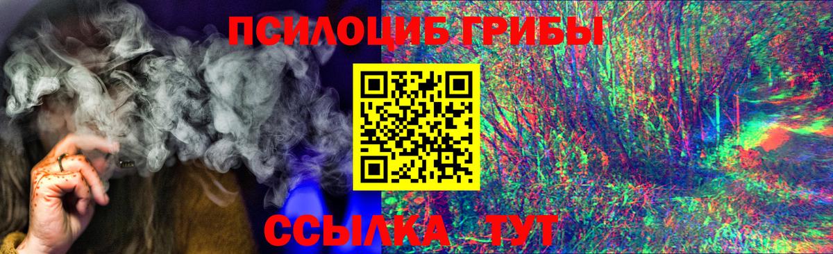Псилоцибиновые грибы Psilocybine cubensis Ахтубинск