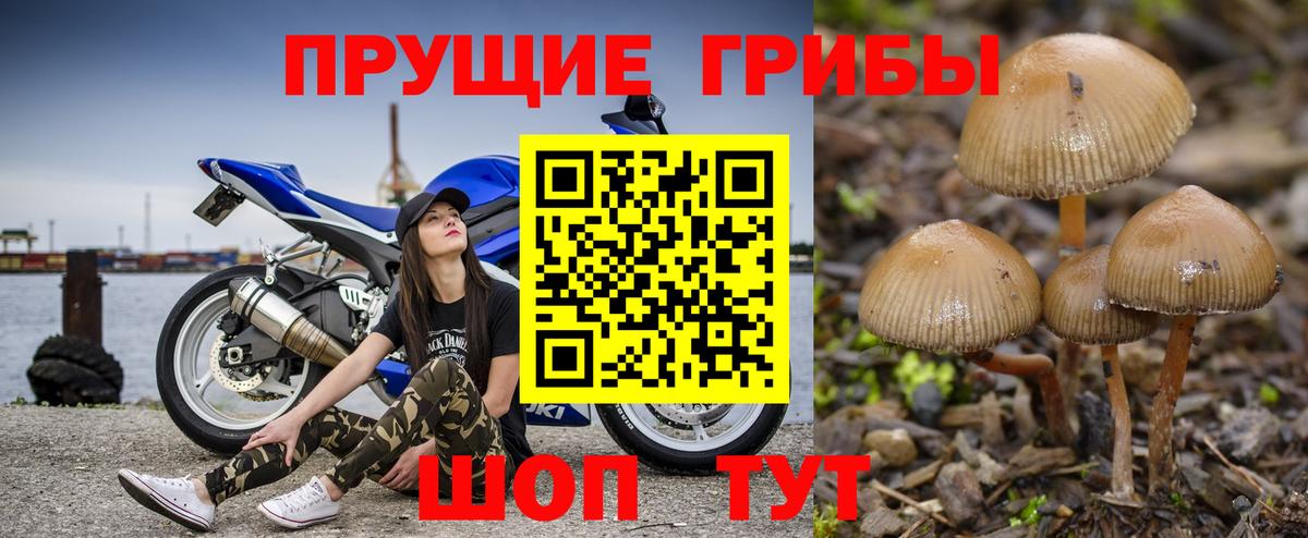 Ахтубинск  Галлюциногенные грибы прущие грибы  Вход с VPN 