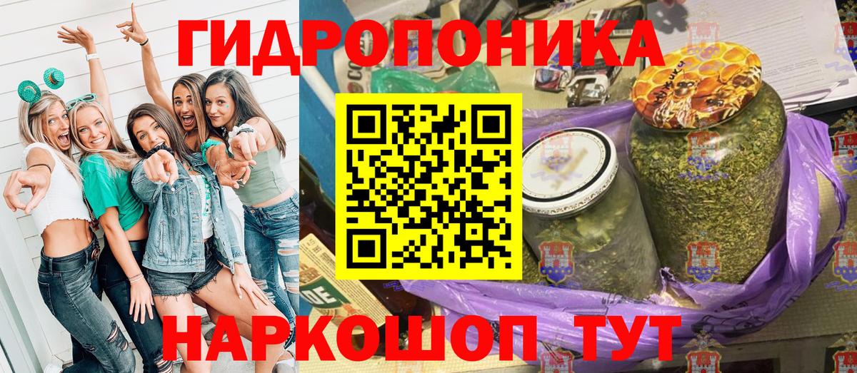Ахтубинск  Конопля ГИДРОПОН  Бошки Шишки Amnesia  Вход с VPN  МАРИХУАНА семена 